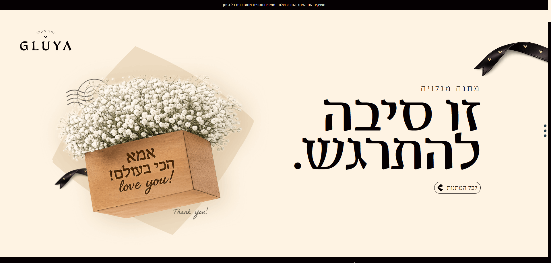 תיק עבודות - גלויה GLUYA | יפי שורץ
