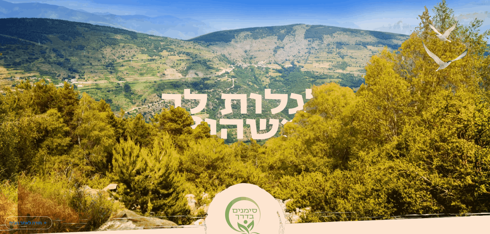 תיק עבודות - סימנים בדרך | יפי שורץ